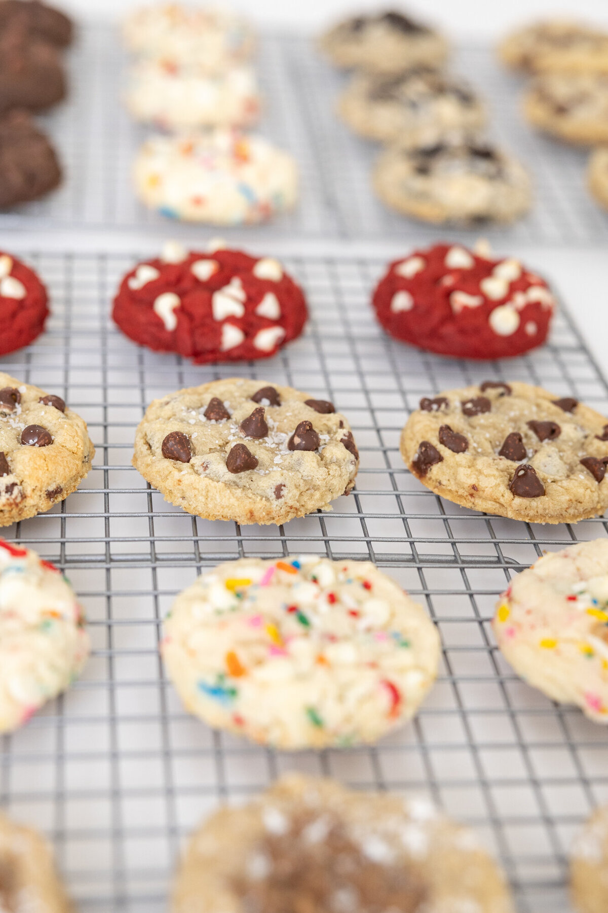 SHP-Brand-Bash-Ithaca-Bakery-Syracuse-Brand-Photography087