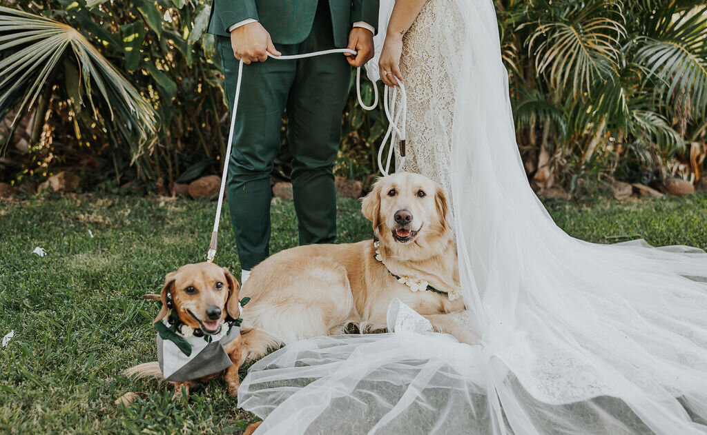 vanessa+matthew-156
