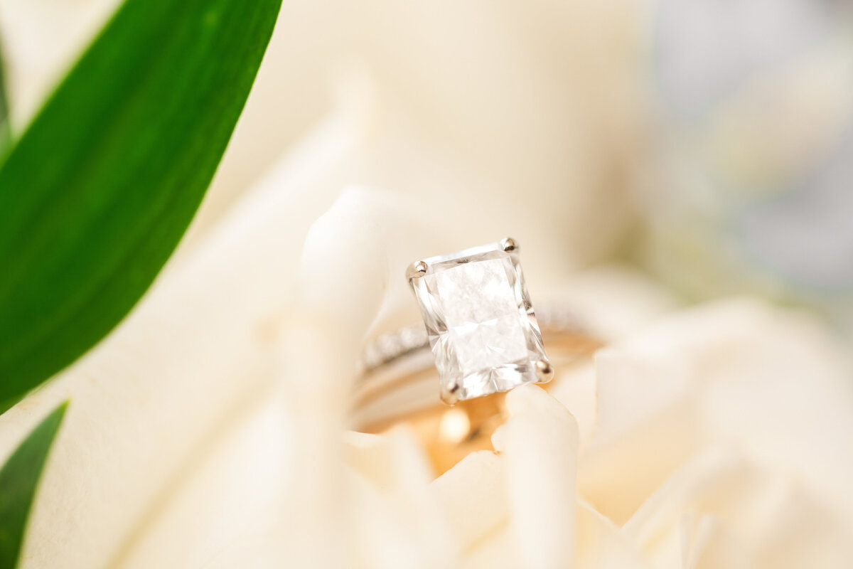 Cassie-And-Frances-wedding-bridal-Sunflower-Hils-Farm-Photographer-Mexico-Columbia-St.Louis-Kansas-City-Missouri-Kansas