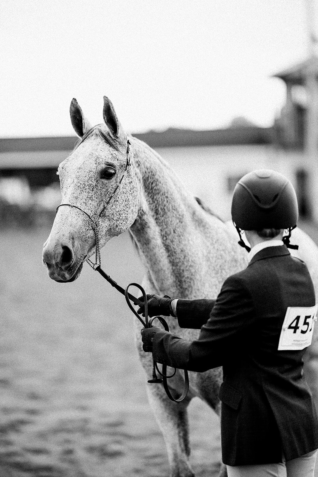 Equestrian Photography240
