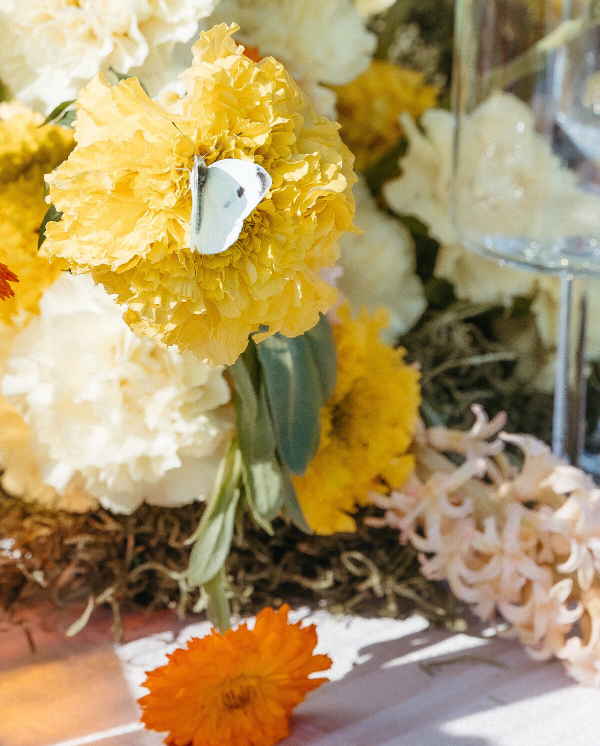 570A3556taytesvichphotos