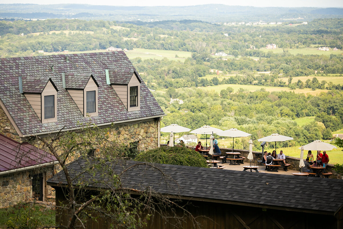 loudoun-studios-bluemont-vineyards-weddings-va00086