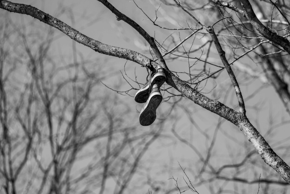 troy missouri, st louis missouri, commercial and branding photographer