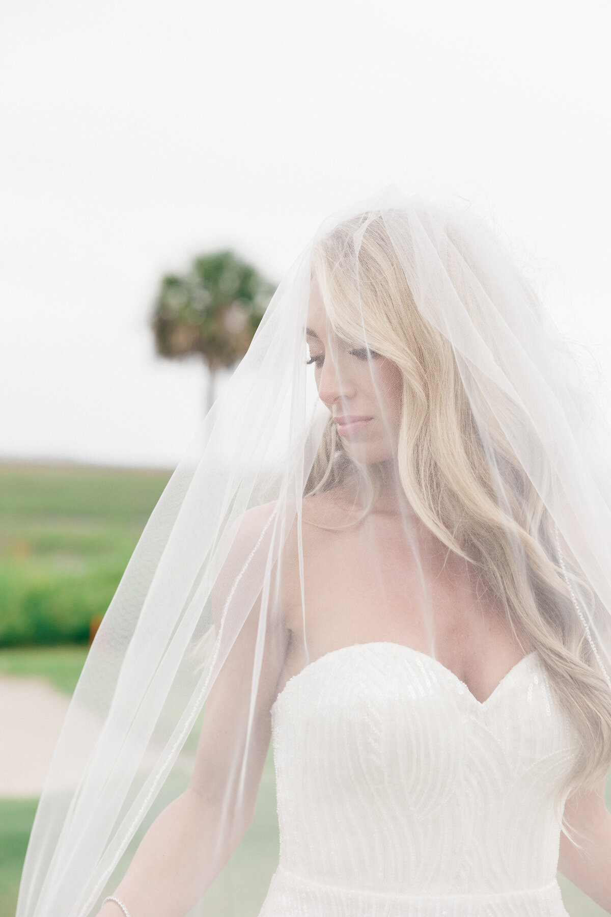 A stunning bride with flowing blonde hair gazes softly under her delicate veil during a Spring Island, South Carolina wedding. A serene and elegant bridal portrait captured by Wedding Photographer, Bluffton.