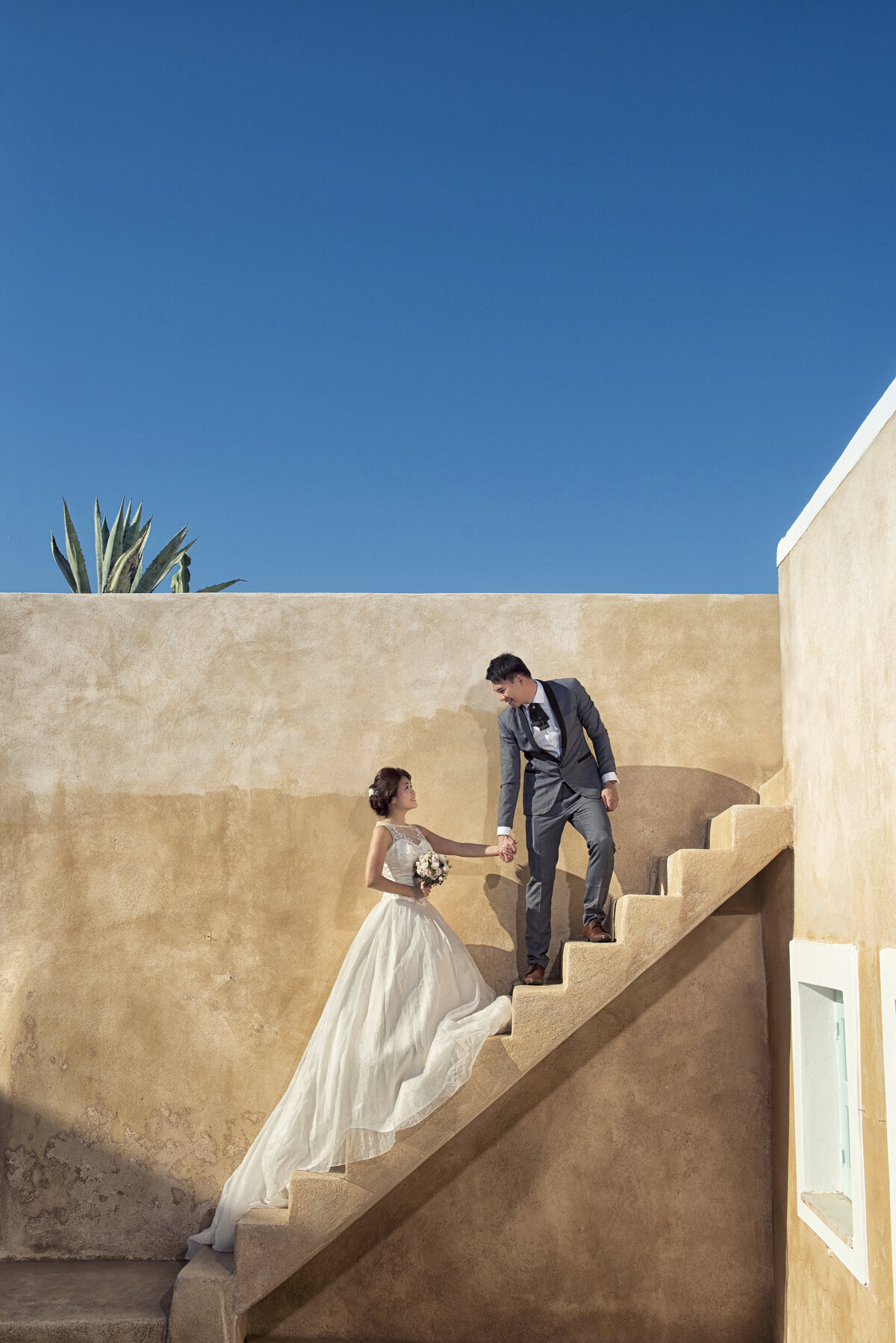 Jancy and Thomas (263 of 888)