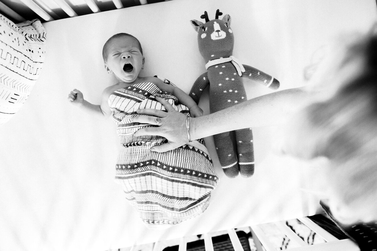 Lifestyle Photographer - Santa Cruz California - Carlie Statsky Photography - 20