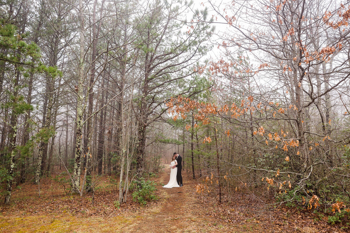 Wiseman's-View-NC-Elopement-8