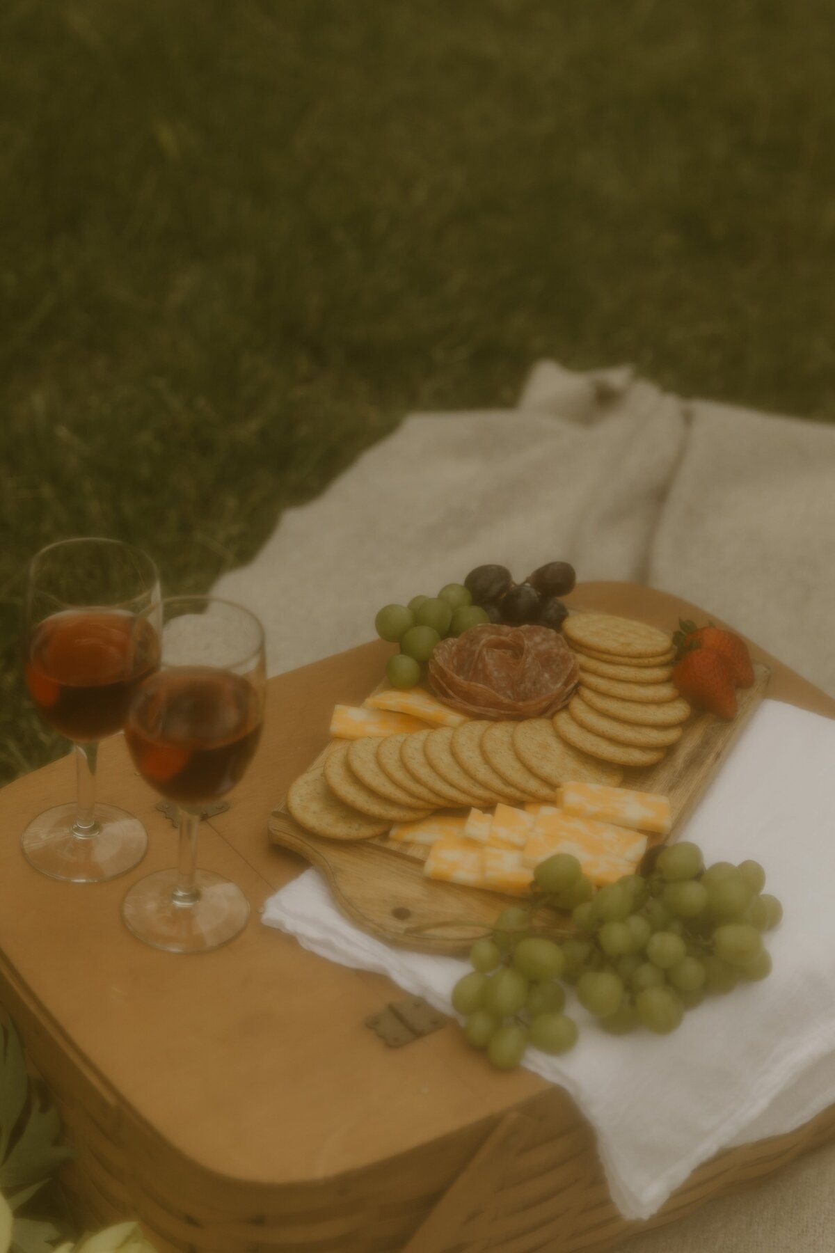 picnic-date-session-25