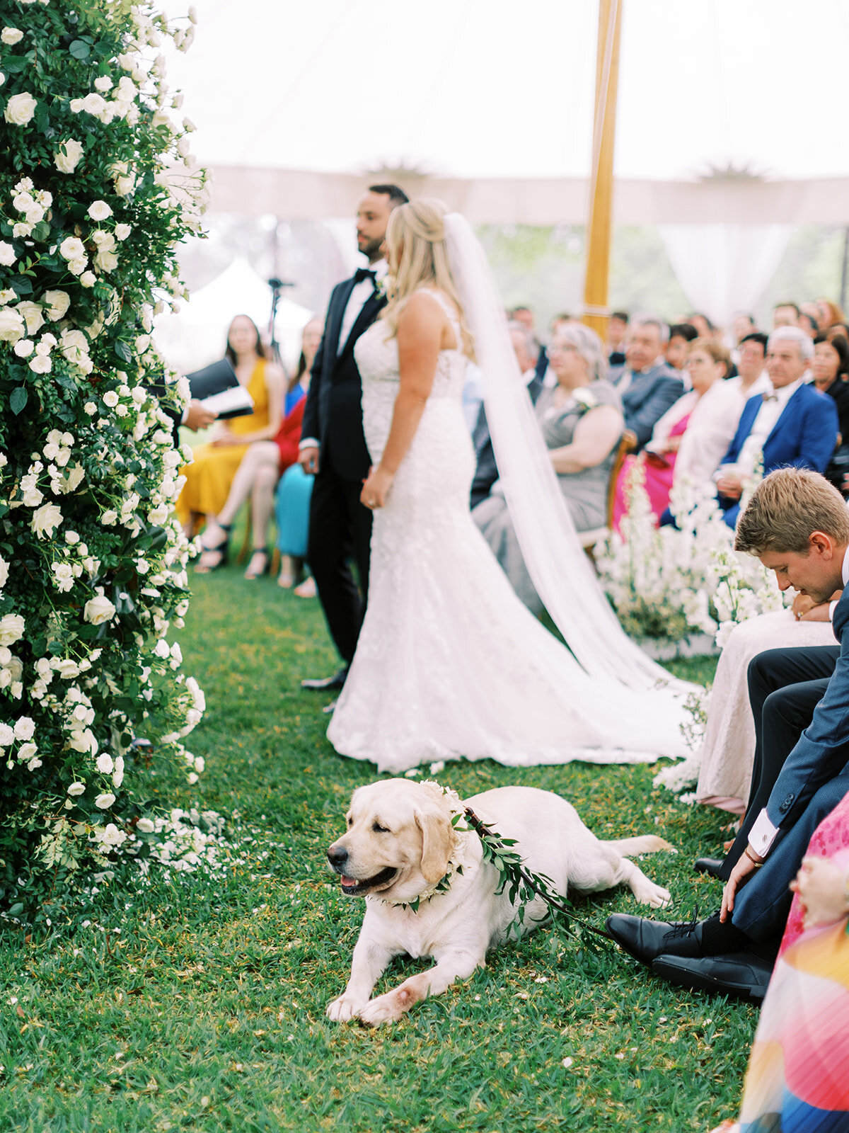 bride-groom-wedding-ceremony-dog