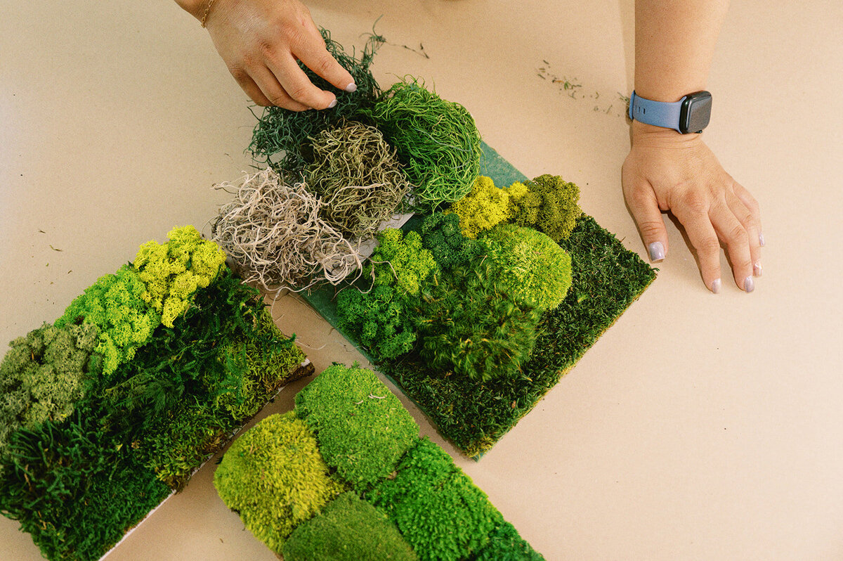 Mylo Headshots - Kristen Kay Photography-26