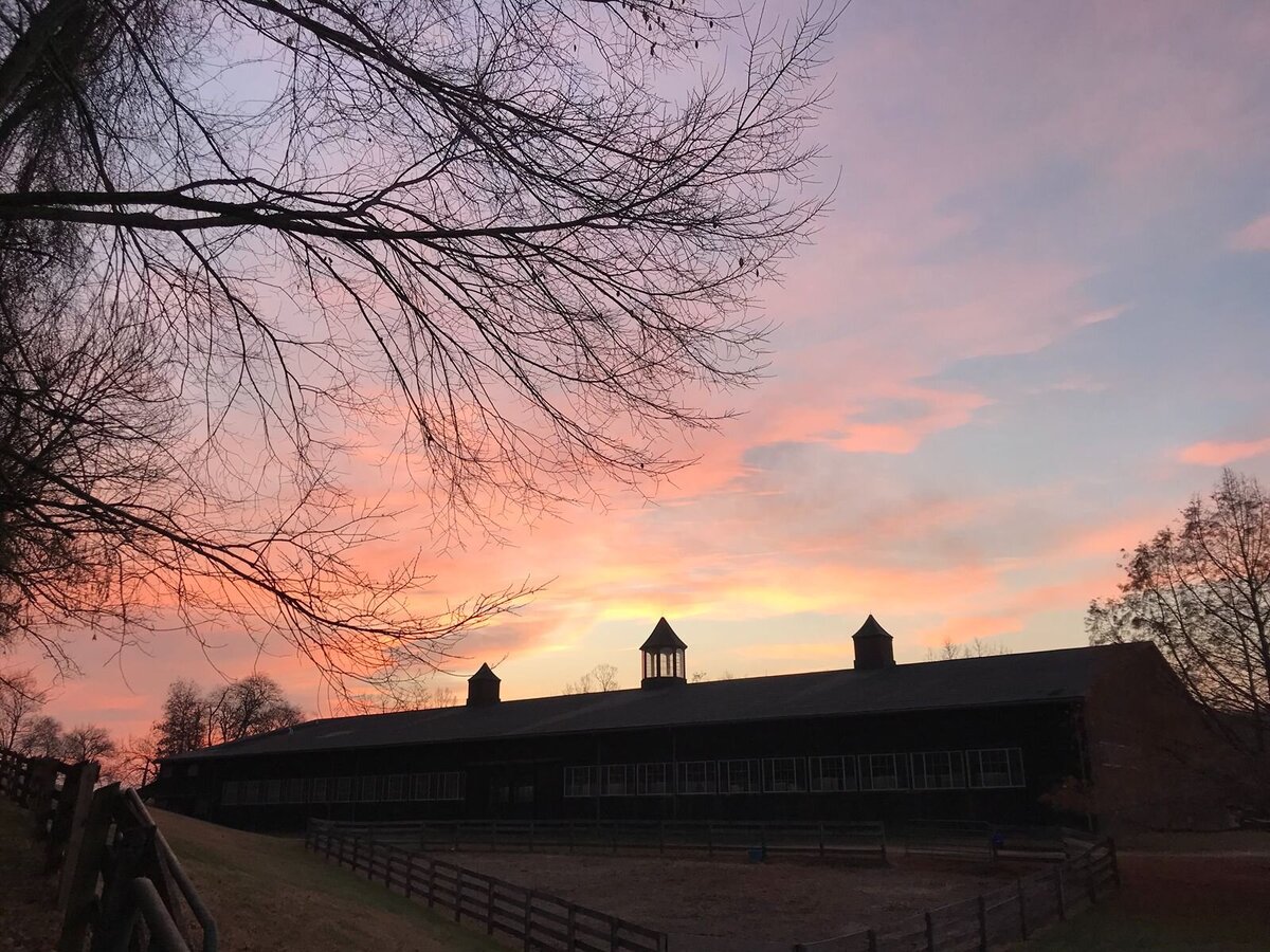 jp-dressage-kynynmont-farm-pa-14