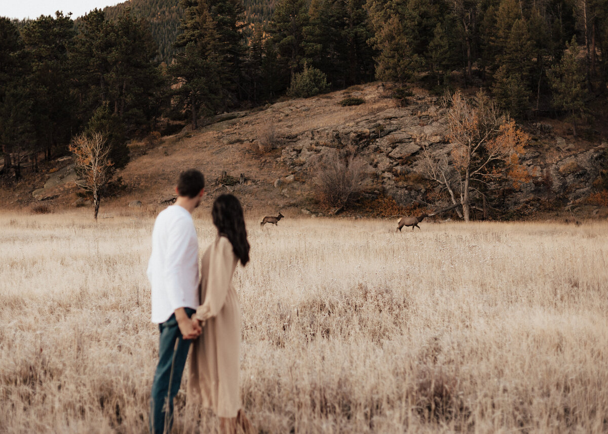 Engaged couple standing in a field with elk in the background