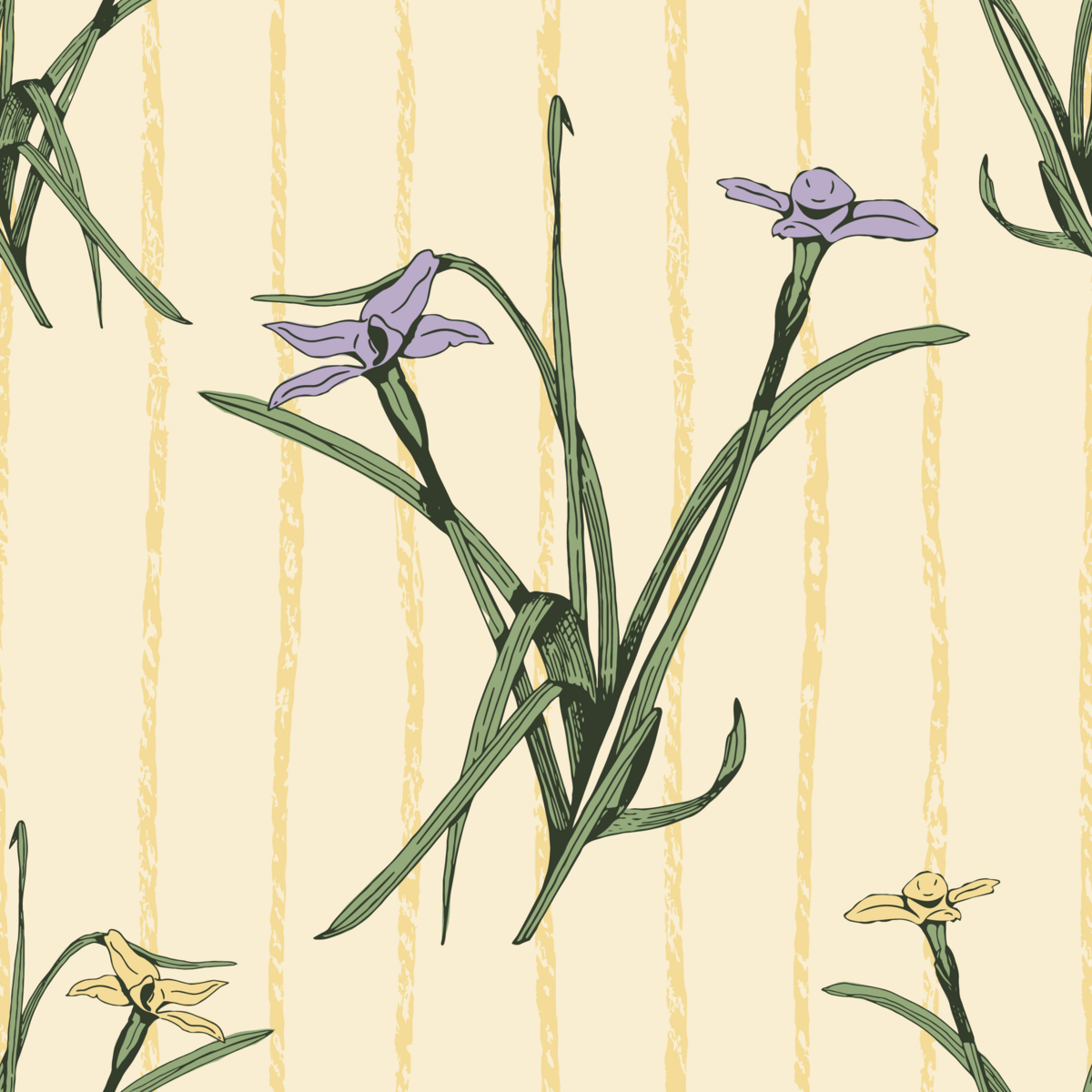Irises on stripes