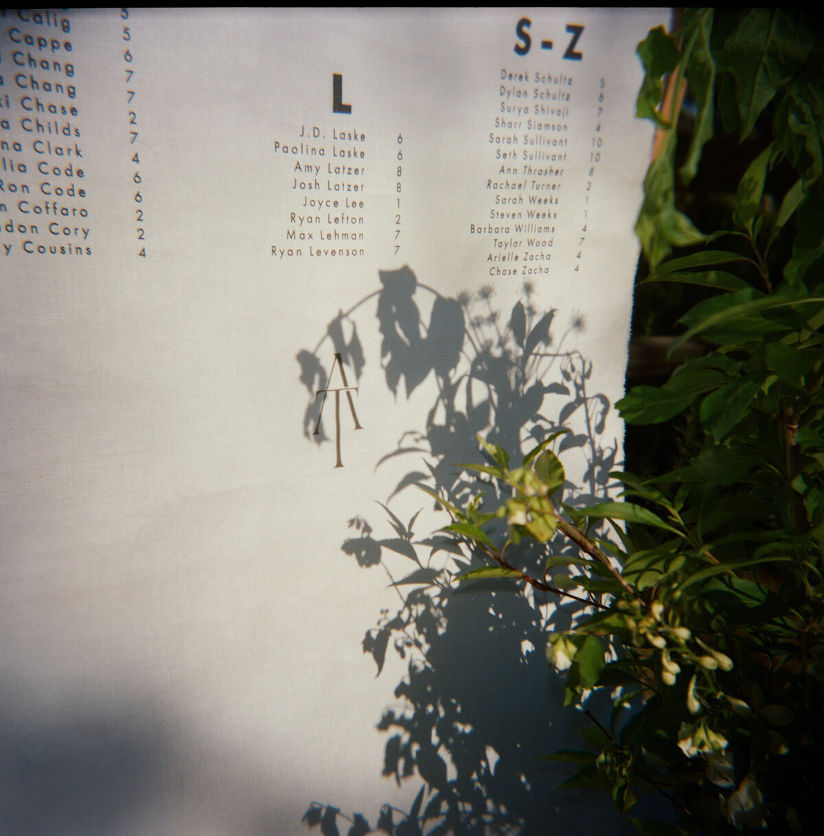 Film-207 (2)