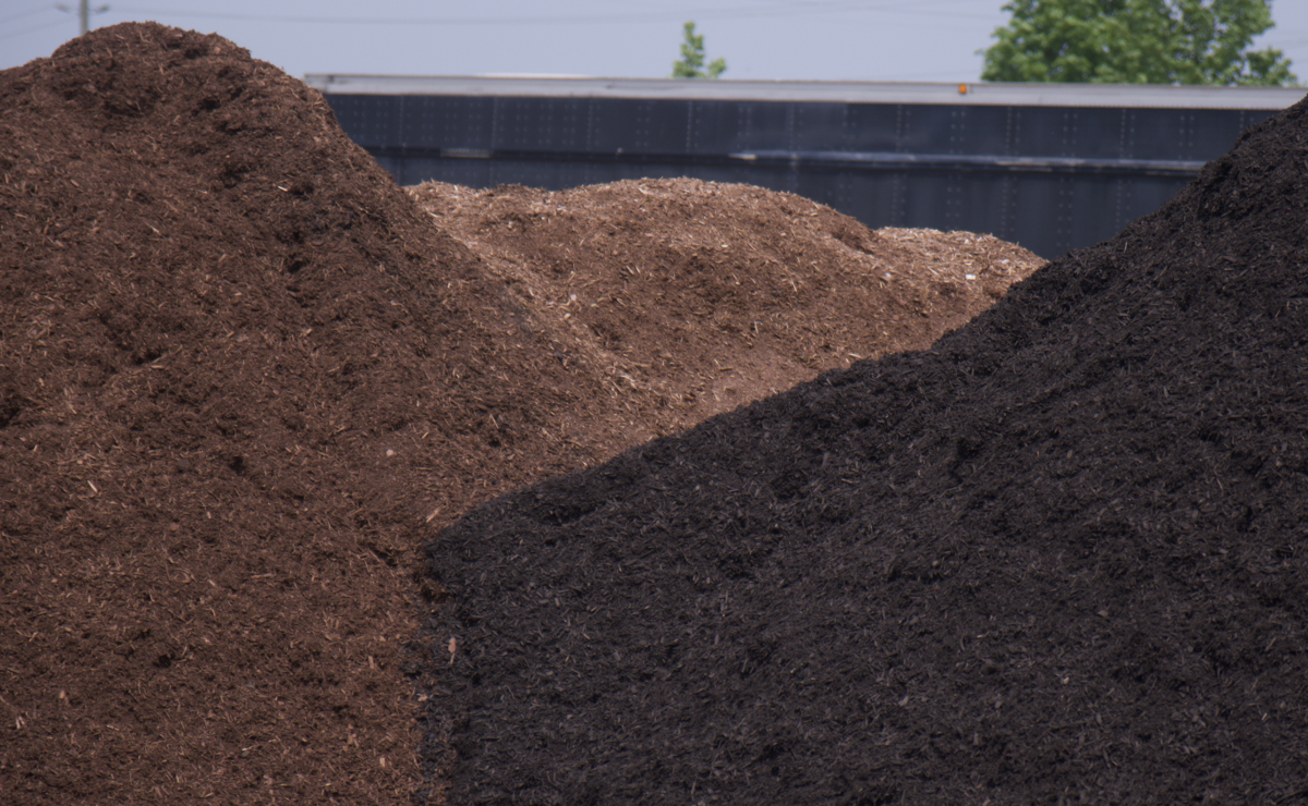 Screenshot 2025-07-21 at 10.58.20 AM