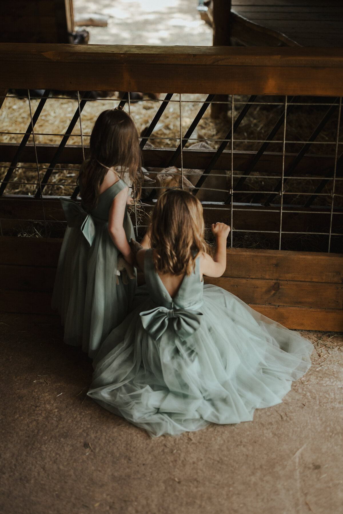 grace-and-jonah-gibsons-farm-wedding-chelsea-brown-photography-34