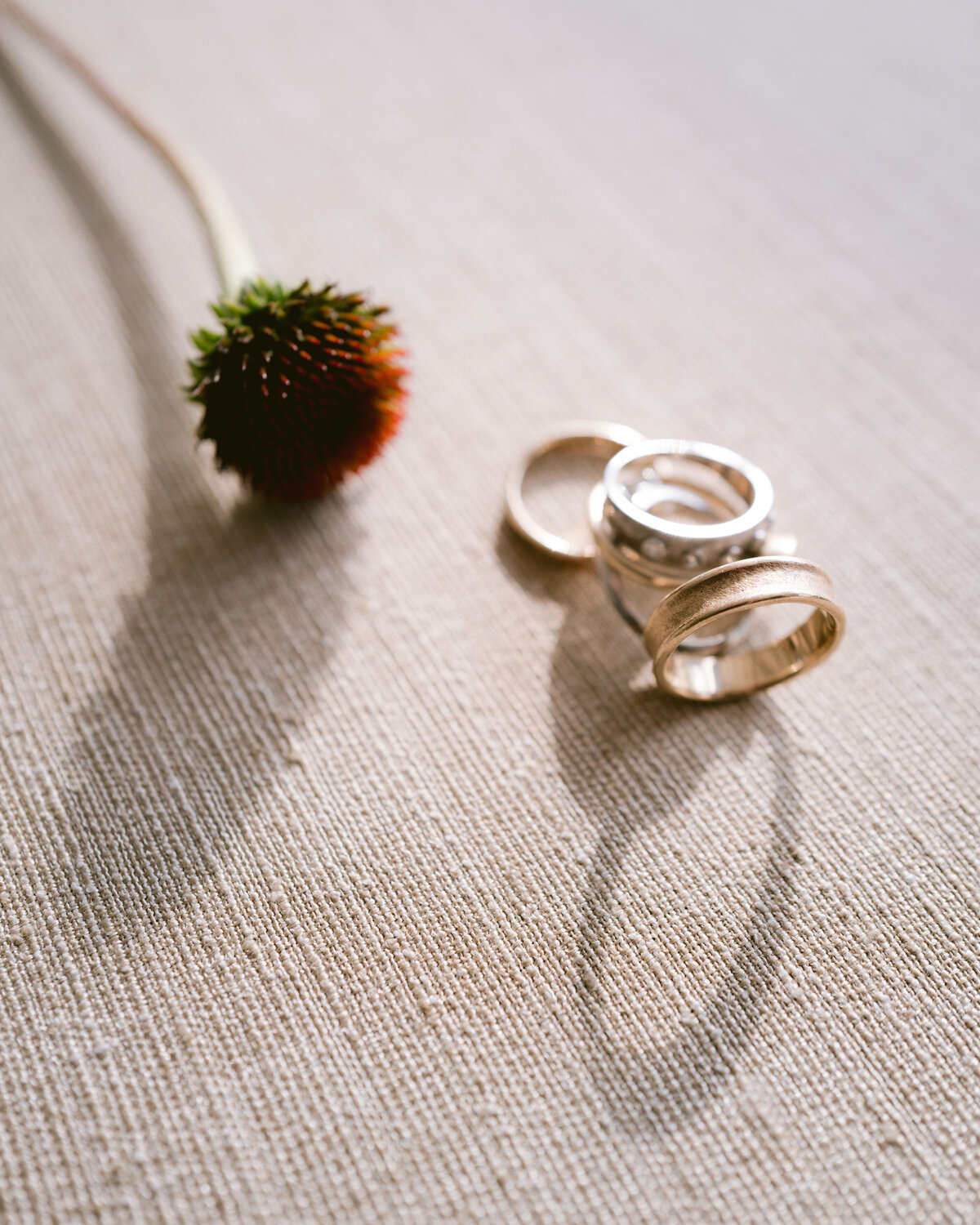 Guardian-Works-Wedding-0003