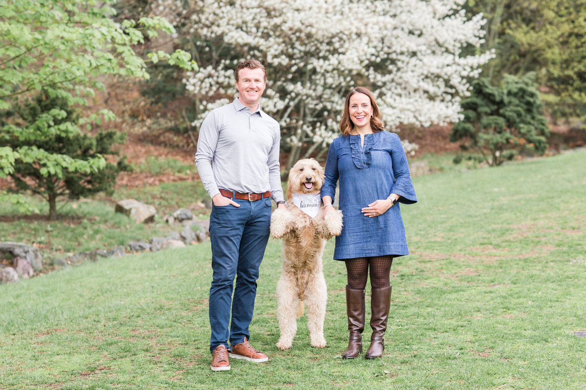 Baby announcement with goldendoodle