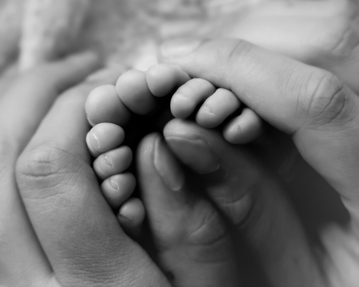 SoPoDesigns_Newborn_Photography_Bay_Area_San_Francisco_12