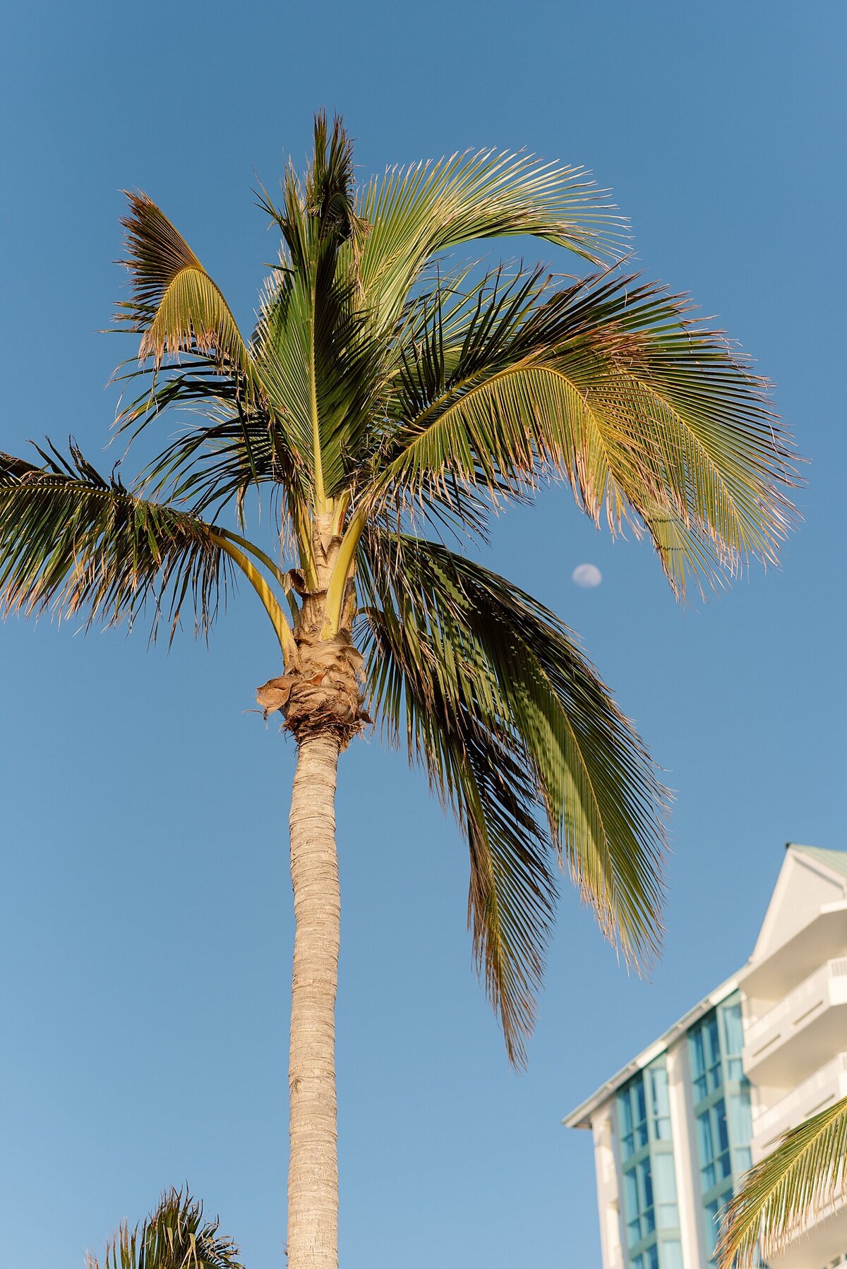 Lido-Beach-Resort-Wedding_0033