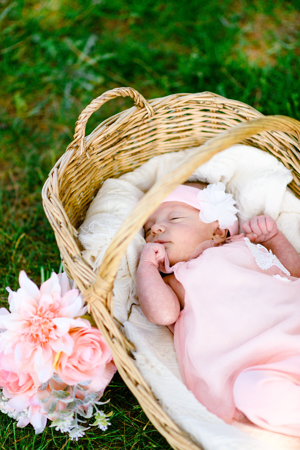 Outdoor newborn session with baby girl in basket