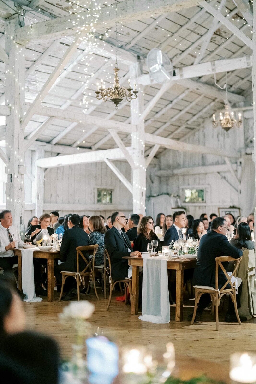 W11-Wedding-Photos-Caledon-Valley-Estate-Eleanor-and-Michael-2024-11-02-2500px-1214