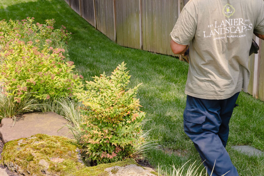 Lanier Landscapes DMV Landscape Designer 8