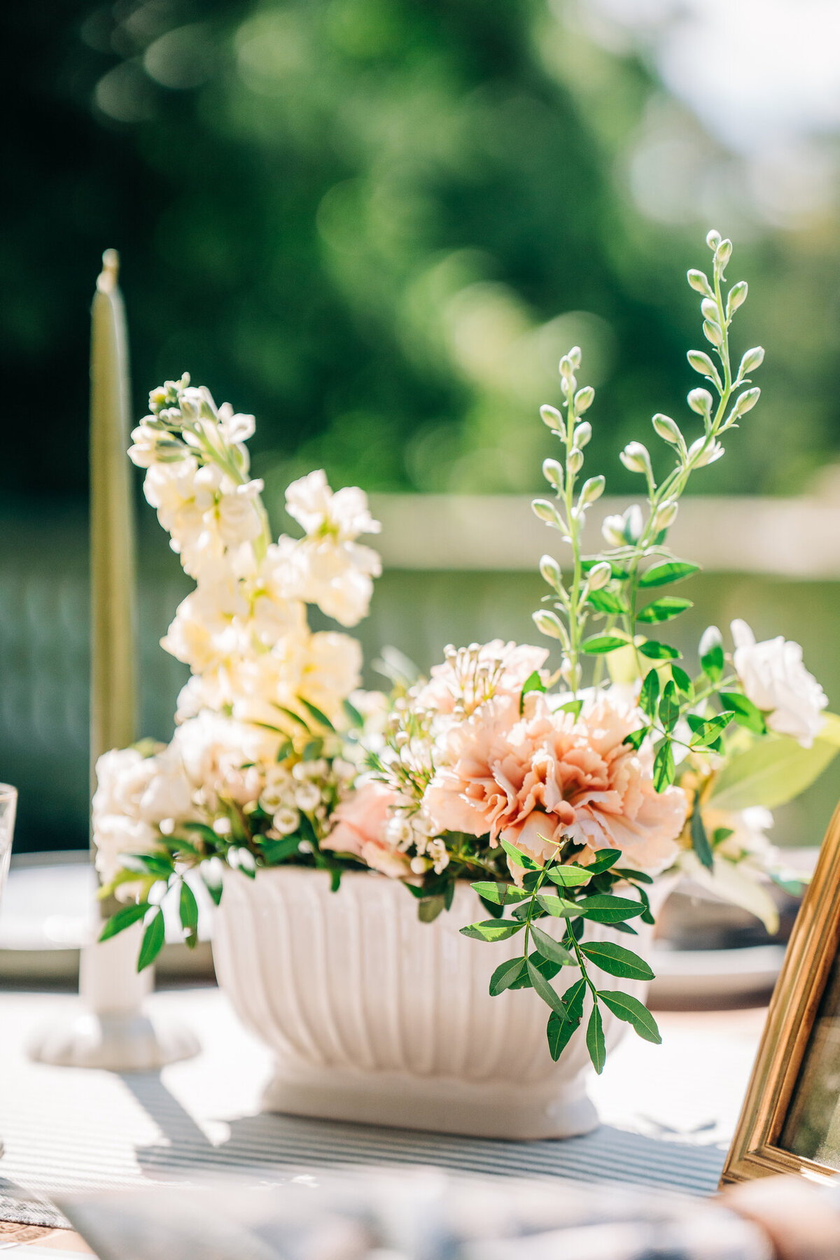 Idyllwild 2025 Sweet Alice Photography-50_(2048)