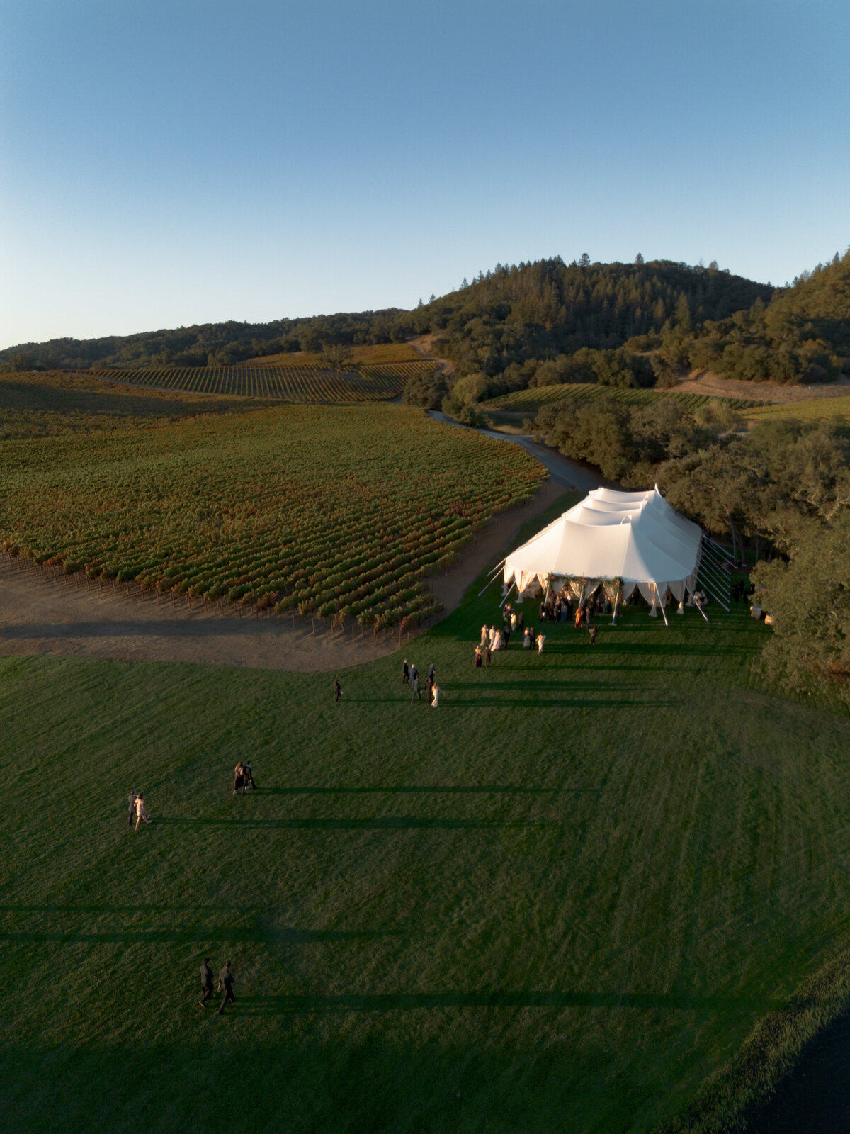 DT-2025-Celine & Gabe Highlights-266