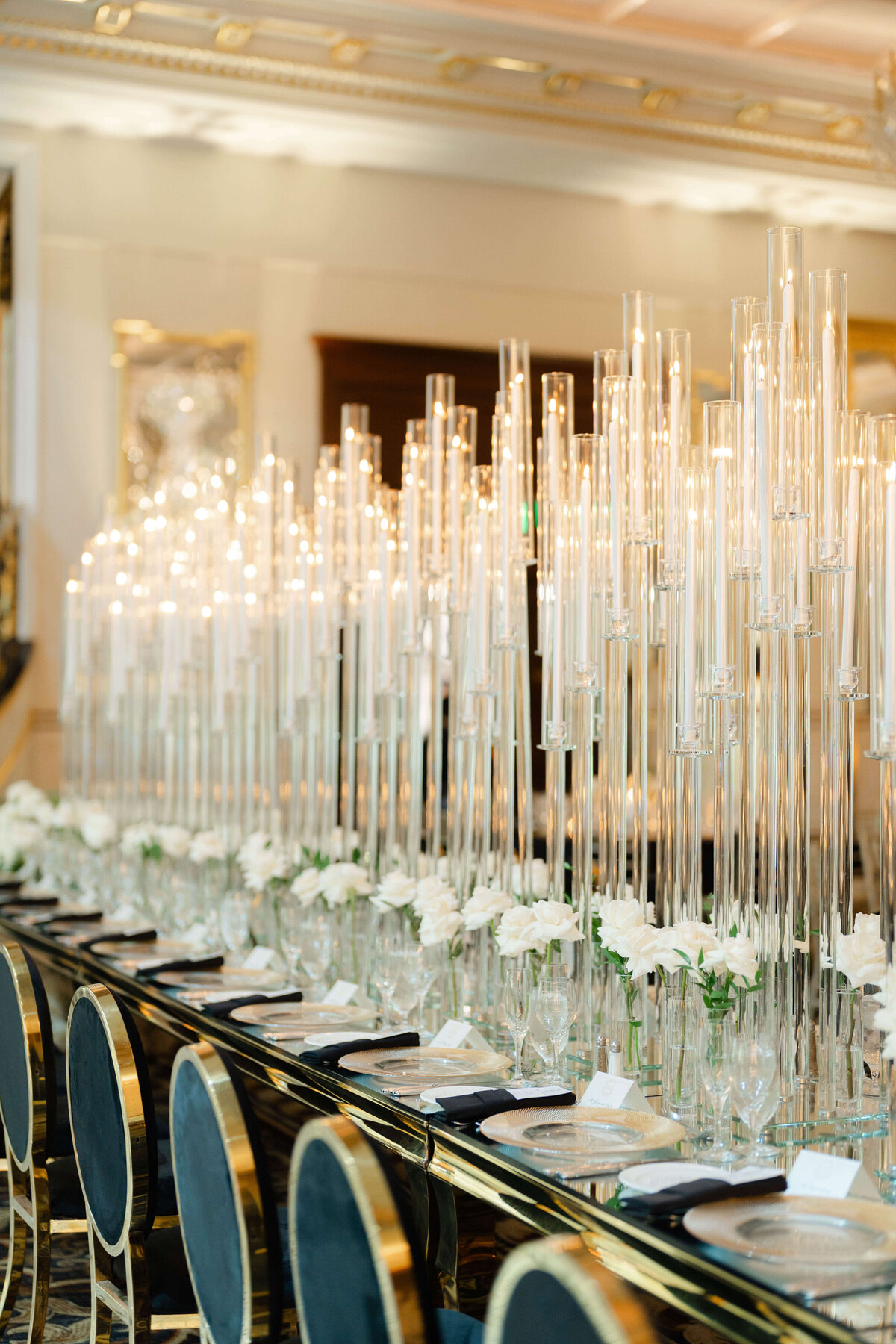 Premier-Events-By-Reema-Shadowbrook-39