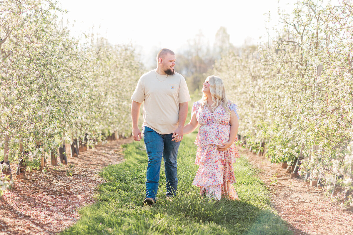 Maternity photographer Wilkesboro NC – apple orchard session