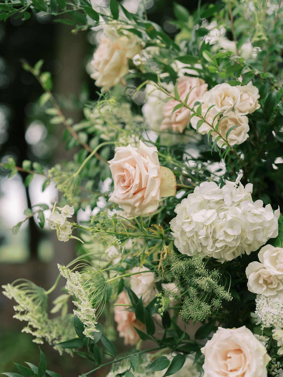 Tori+Tim+Sneakpeek-197