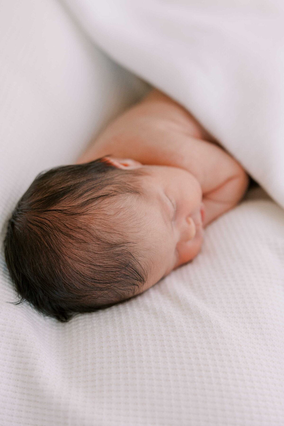 bay-area-newborn-photographer-5178