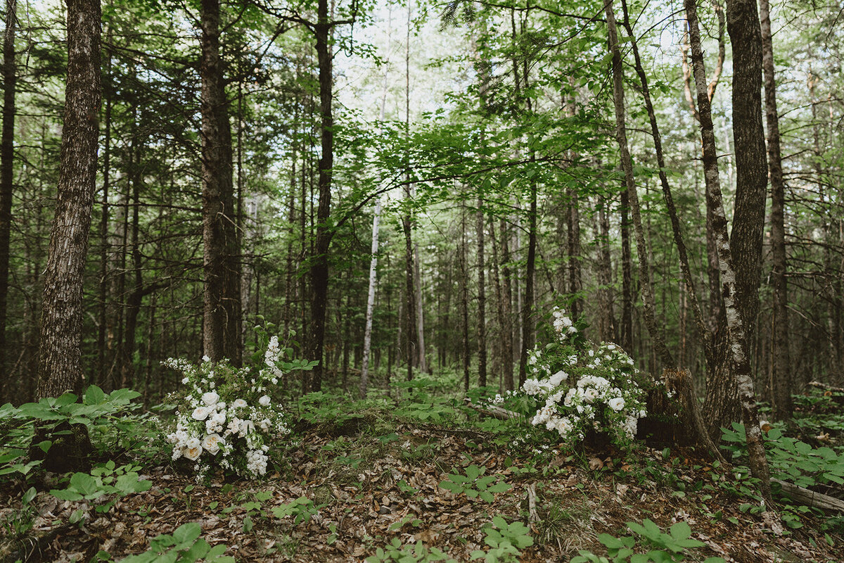 Danielle-Aisling_Strawberry_Fields_Elopement_Ottawa-93