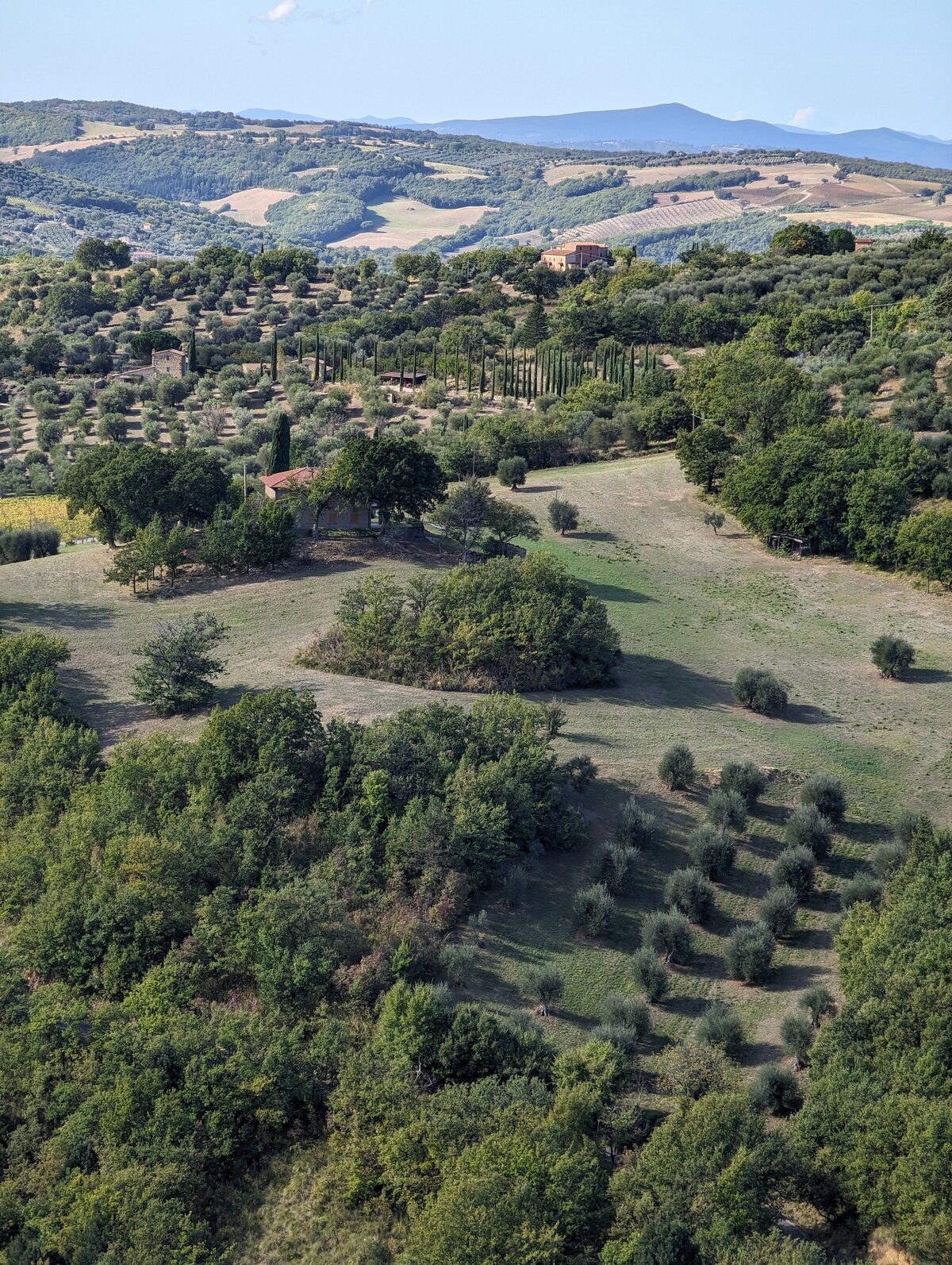 PXL_20231028_102842139