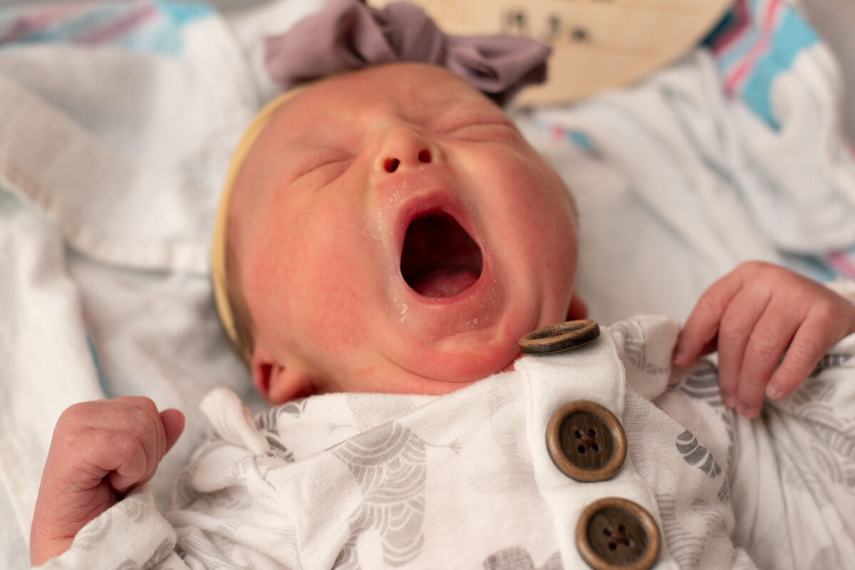 Baby Hess _Fresh 48_July 2024_0102