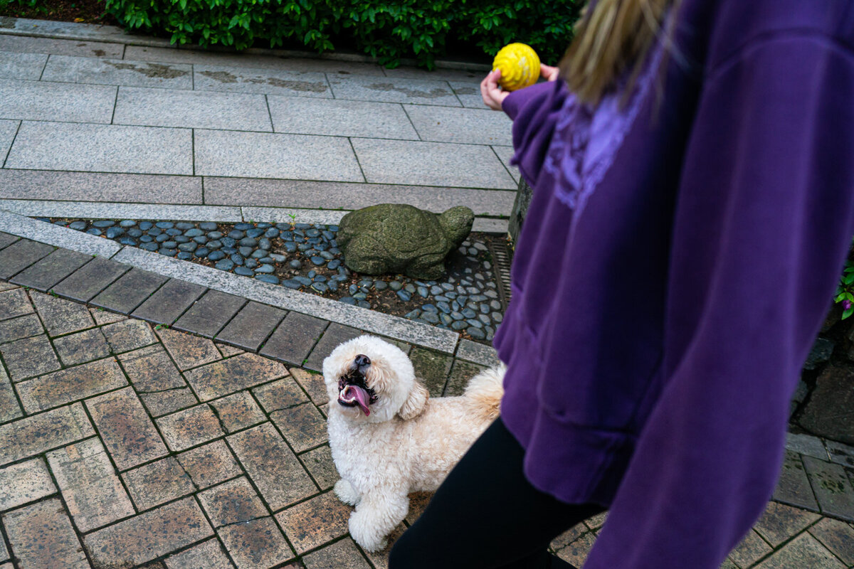 world's-best-familye-photographer-kirtsen-lewis-seoul-south-korea012