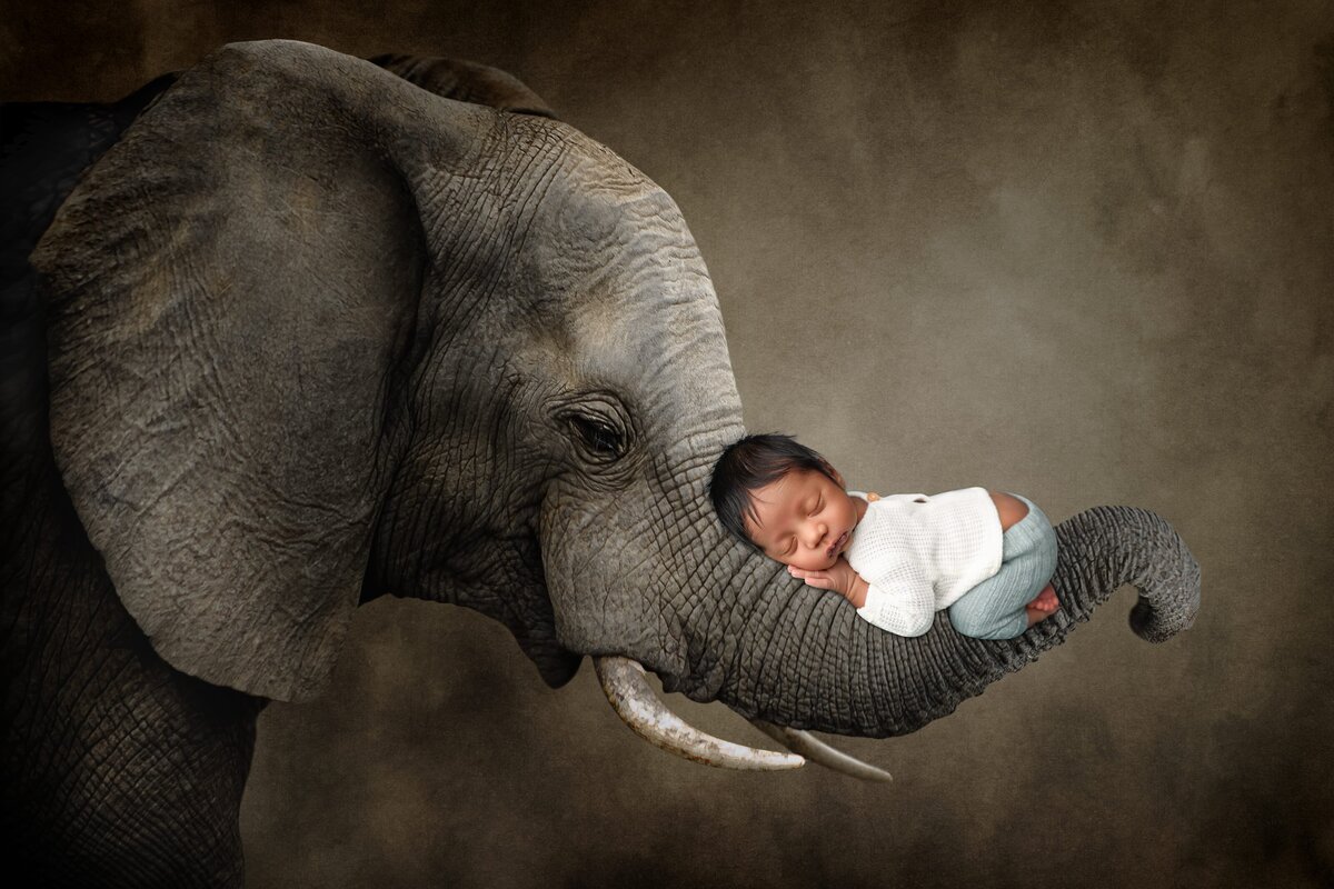 Charlotte-Newborn-photographer37
