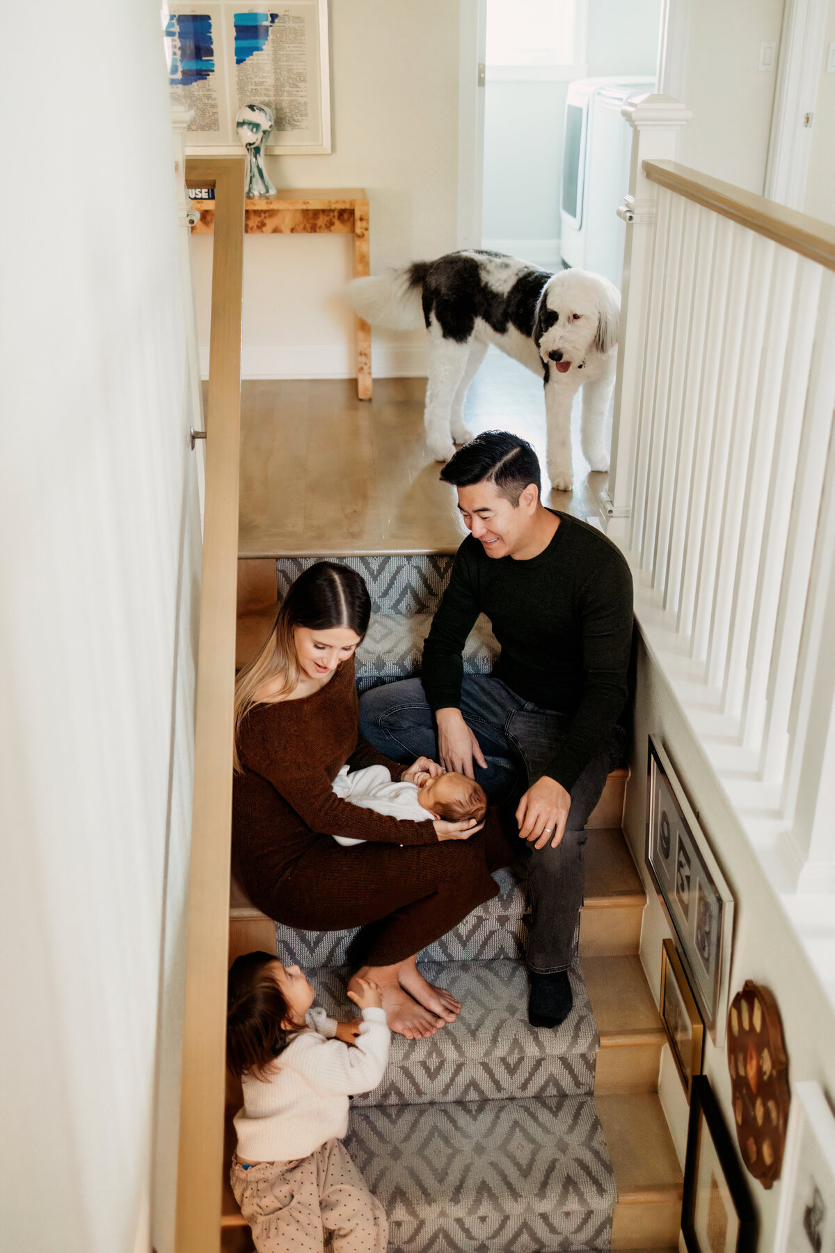 family of four sitting staggard on the stairs staring lovingly at their new baby girl