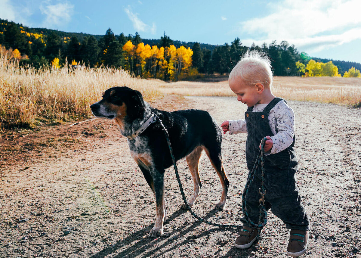 denver family photography - toddler walking with dog
