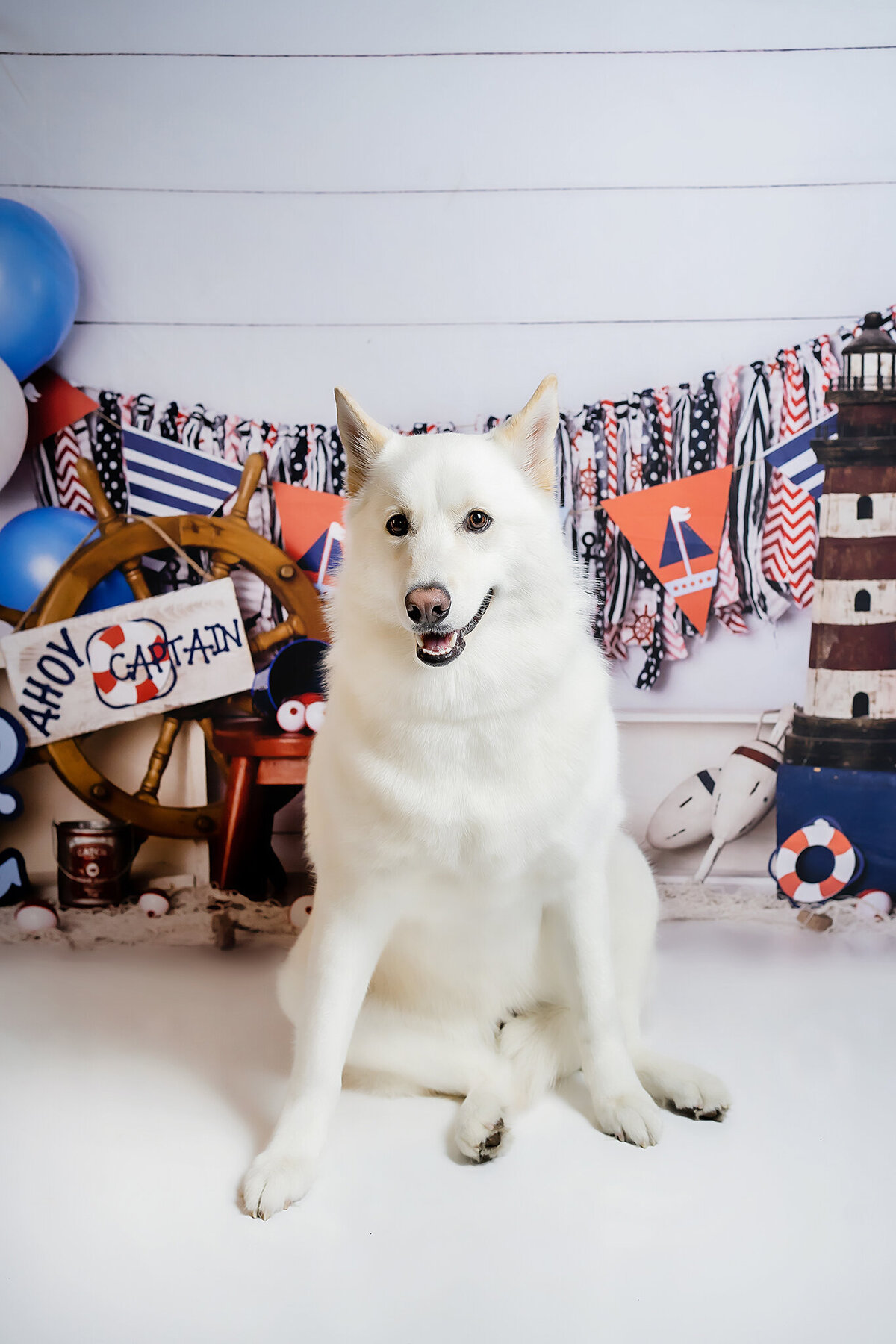 New Orleans Pet Photographer 65