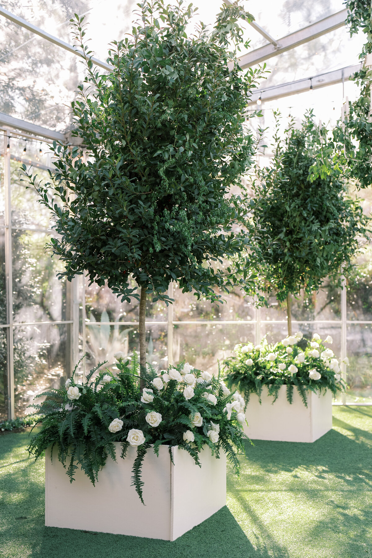 Tall trees with white flowers as a ceremony aisle