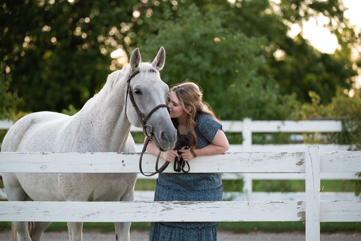 equine-portrait-plymouth-michigan-8