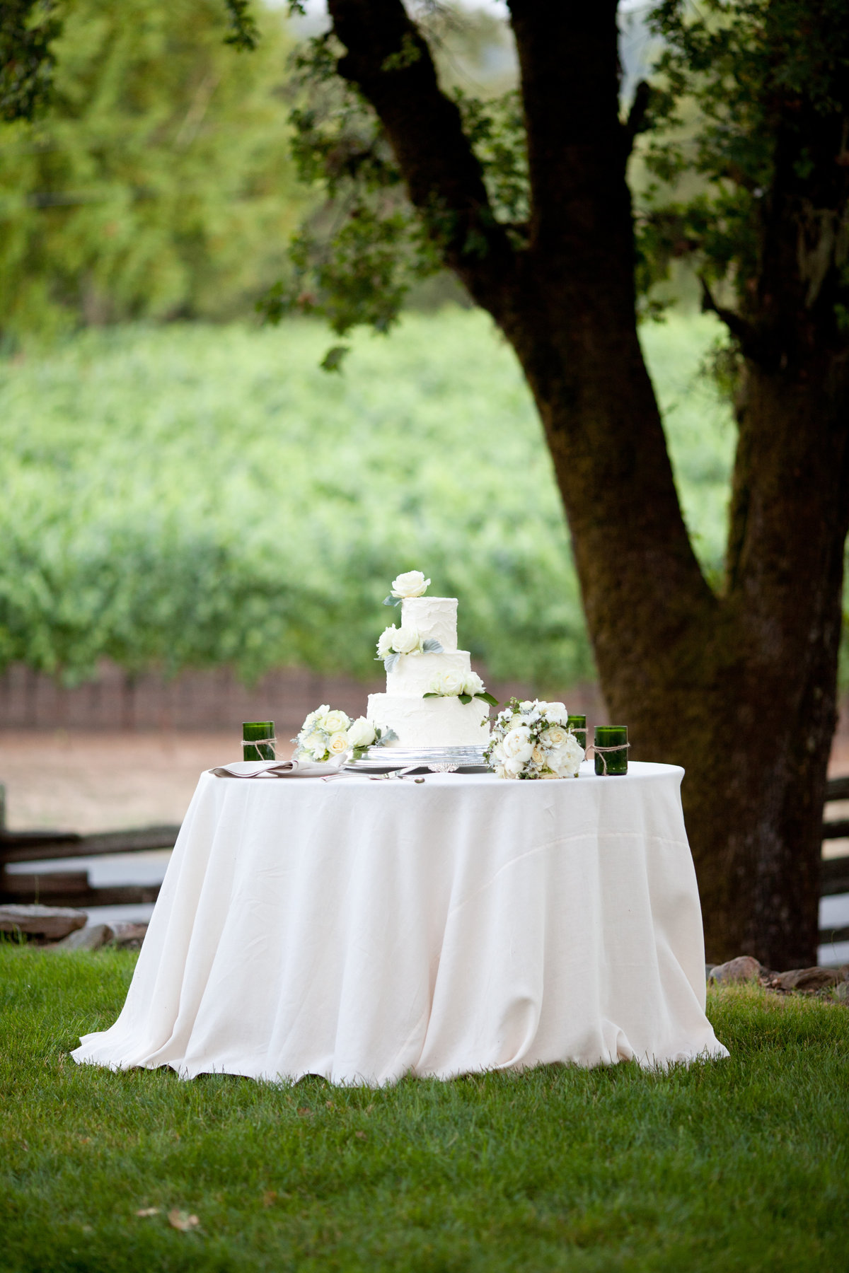 0045_Arista-Winery-Sonoma-CA-Vineyard-Wedding