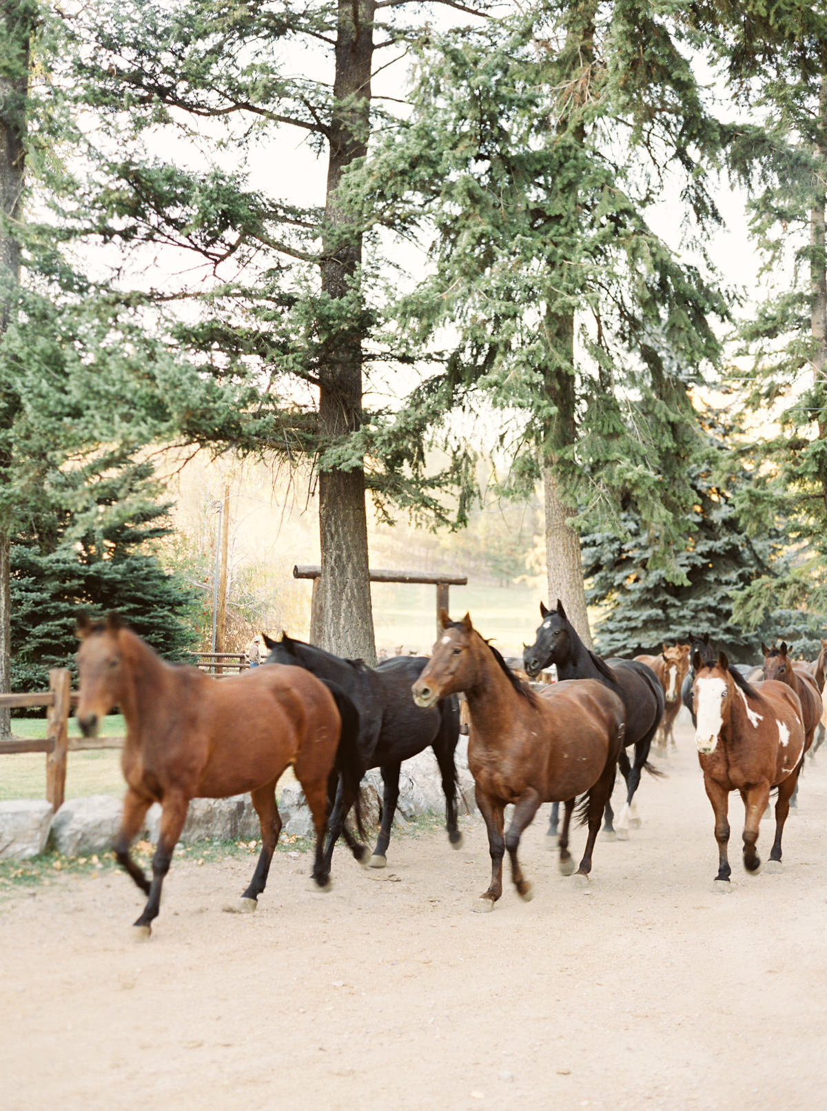 Flathead Lake Lodge Wedding | Flathead Wedding Photographers-1002