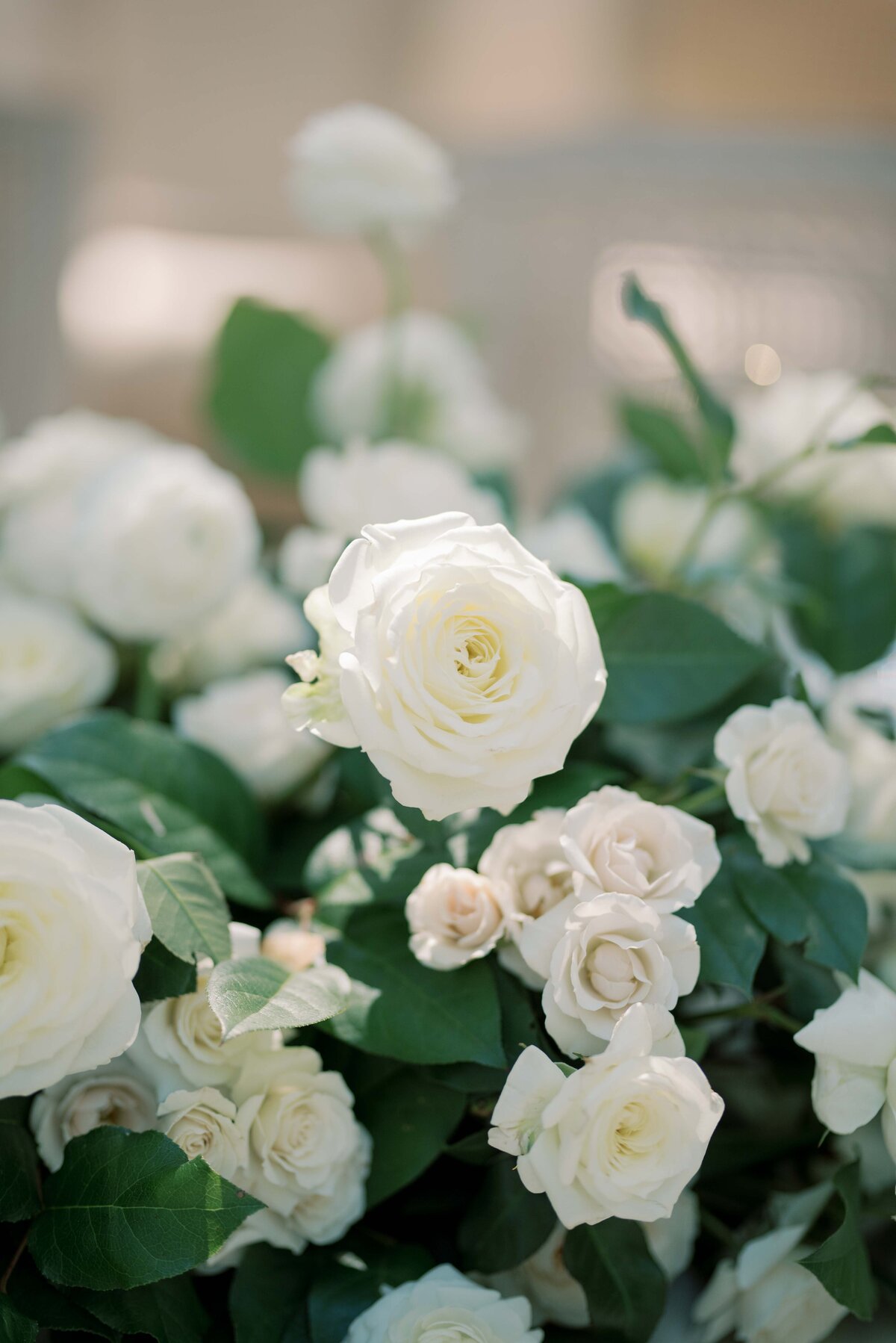 Vizcaya Museum Miami Wedding Photographer_1-38