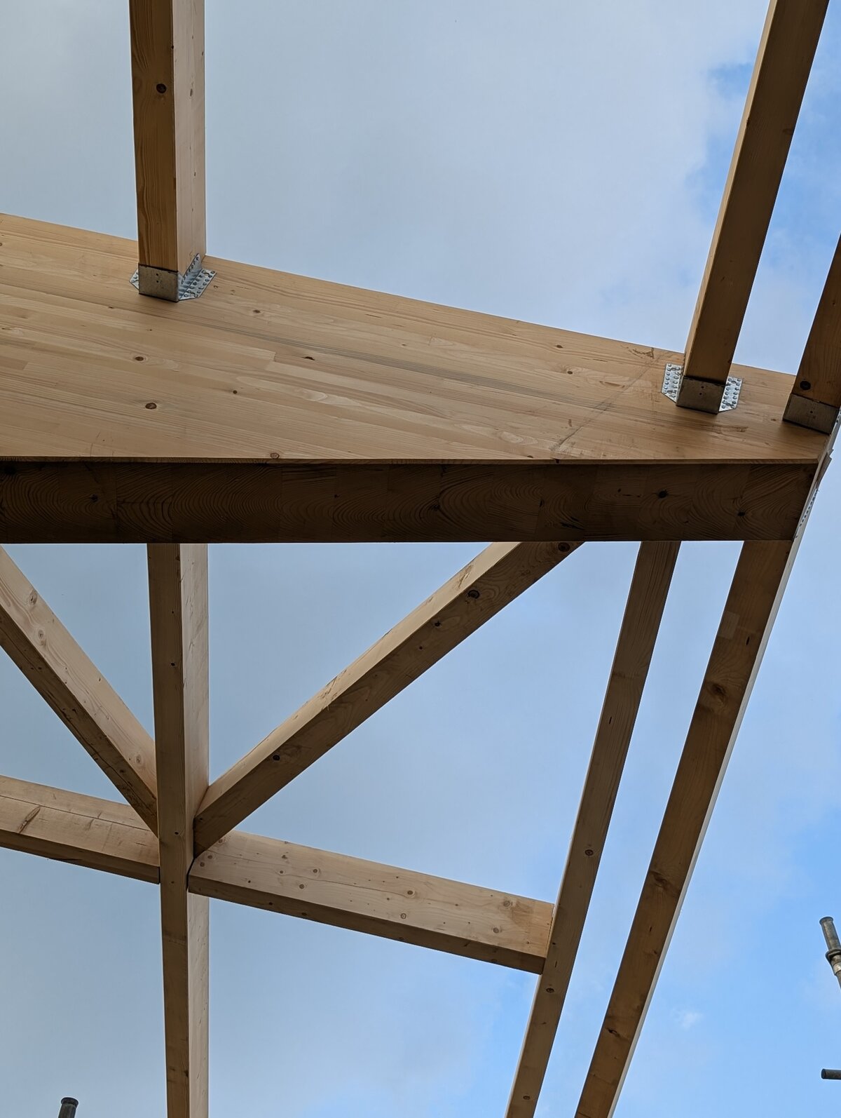 PXL_20250930_144511800