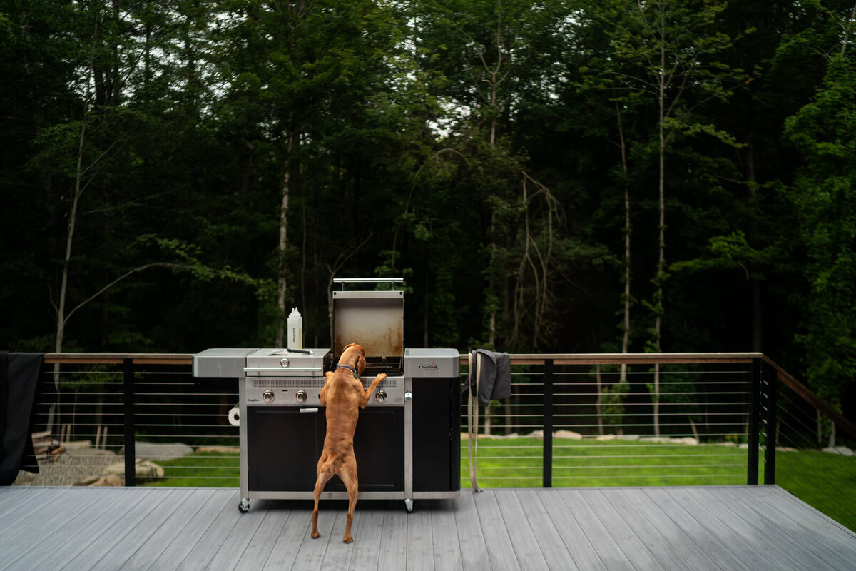 best-day-in-the-life-photographer-new_england-new_hamshire008