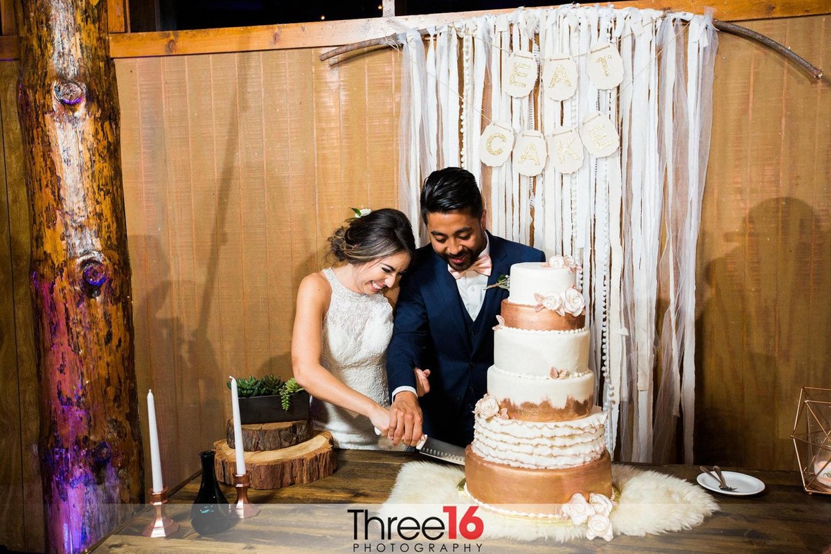 Newly married couple cut the wedding cake