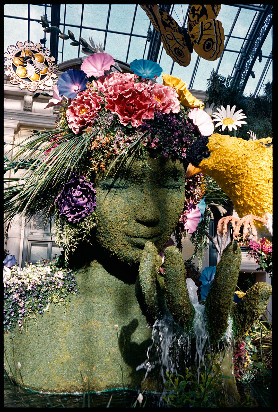 loui_photography_analog_photography_2025-1